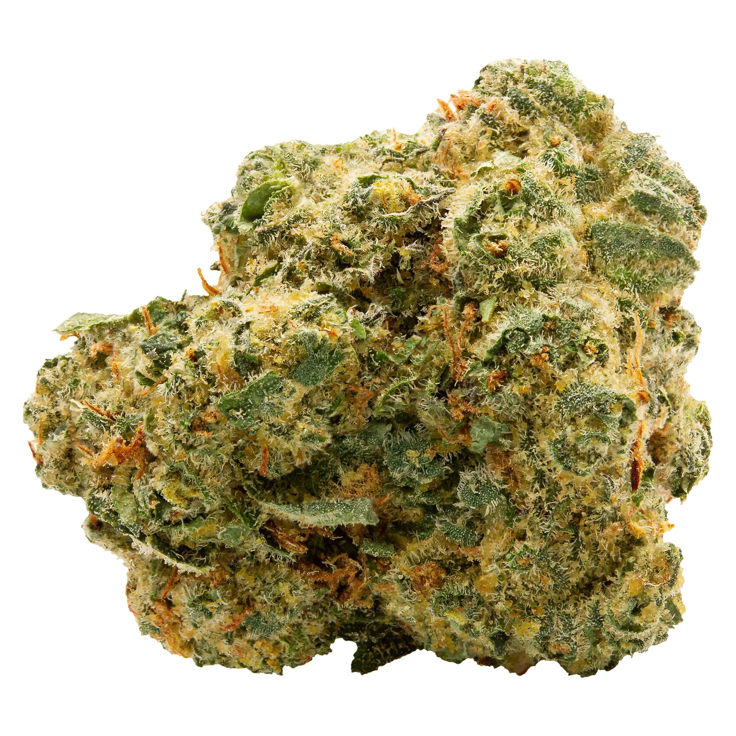 Spinach - Blue Thai (Sour Blueberry x Lemon Thai) - 3.5g