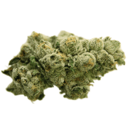 Celebrity - Dirk Jiggler (Red Pop x Gelato) - 3.5g