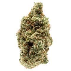 Qwest - Grape Pie (Grape Stomper x Cherry Pie) - 3.5g