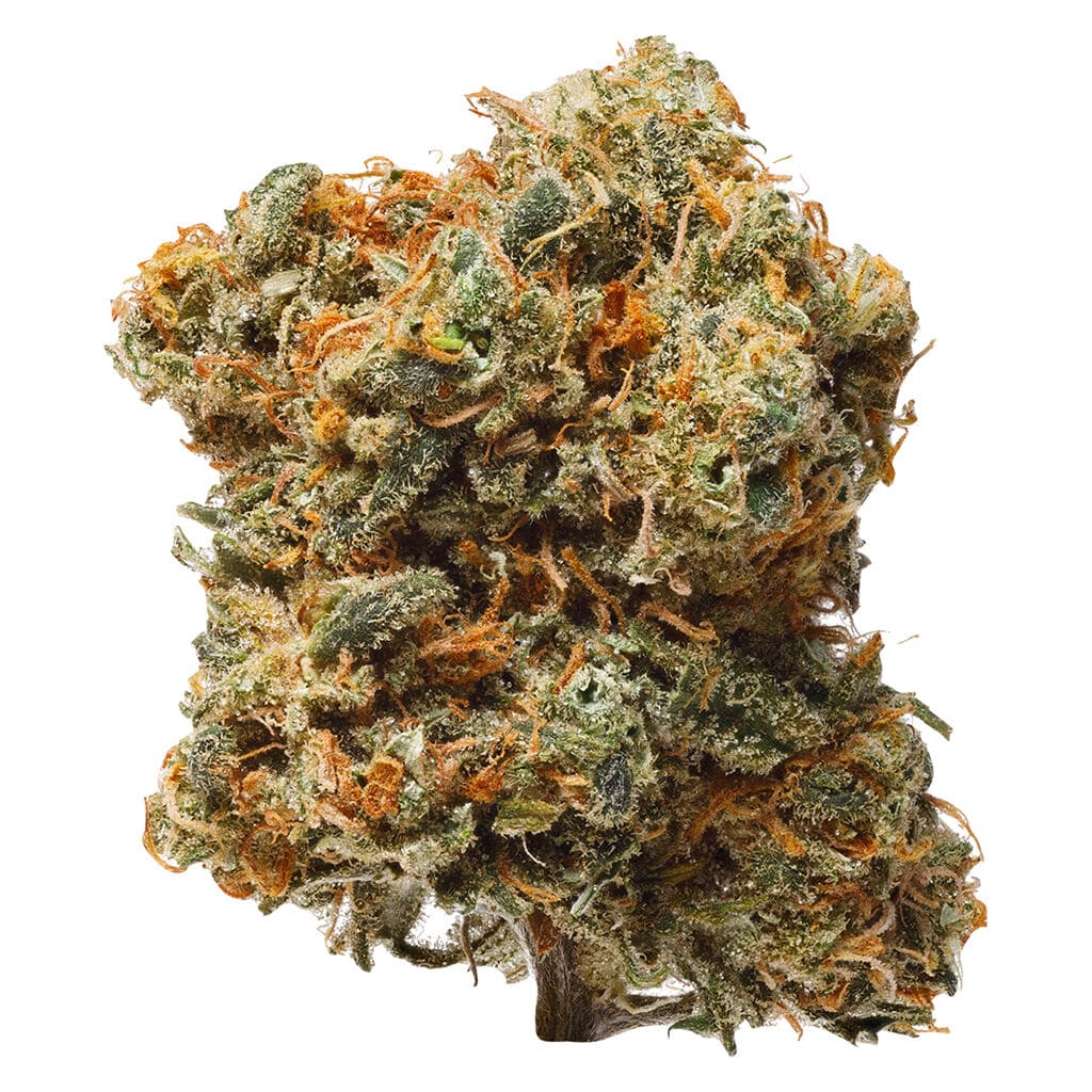 1964 - BC Organic Blue Dream (Blueberry x Haze) - 3.5g