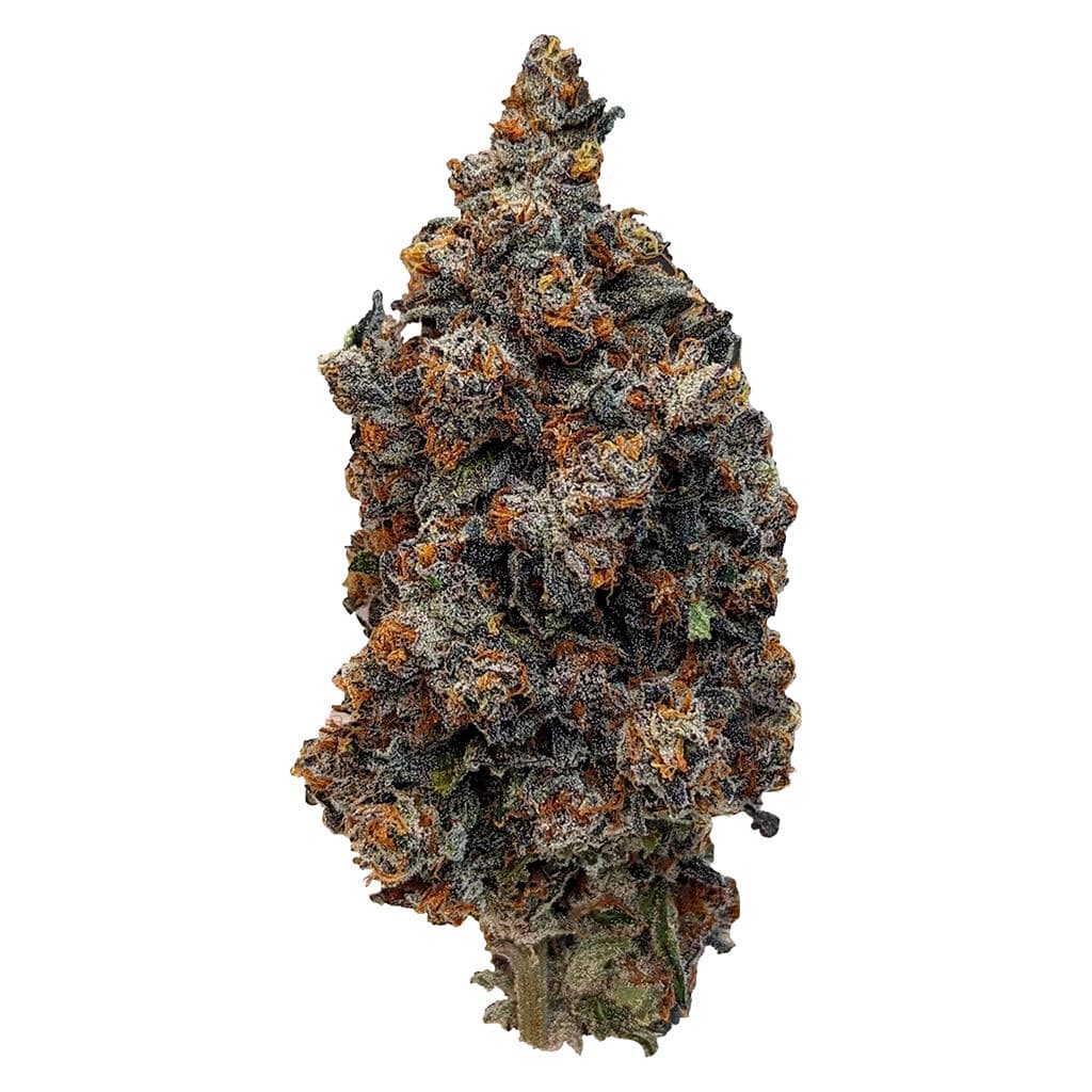 Rocket Factory - Gelato OG Kush (Scotti Cakes x Purp Skurp x Faceoff OG) - 7g