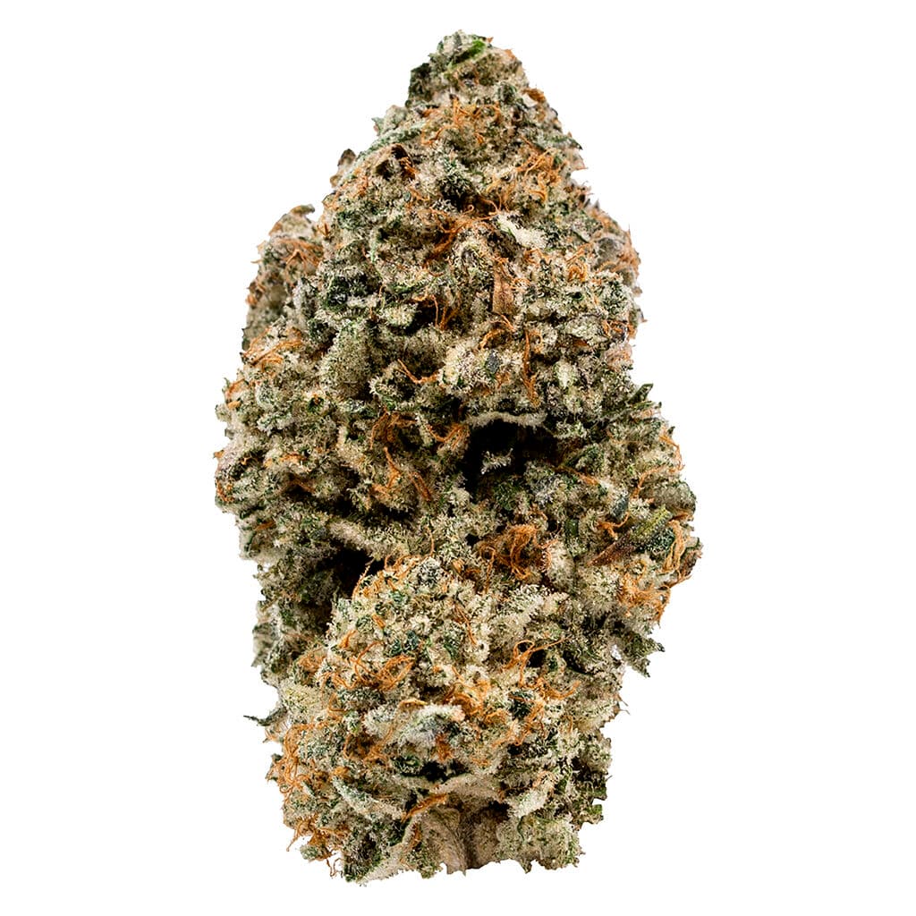 Volo - Nugszilla (Alien Cookies x Kush Mints x Gelato 41 x Sherb bx1) - 7g