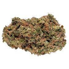 Color - Space Cake (GSC x Snow Lotus) - 3.5g