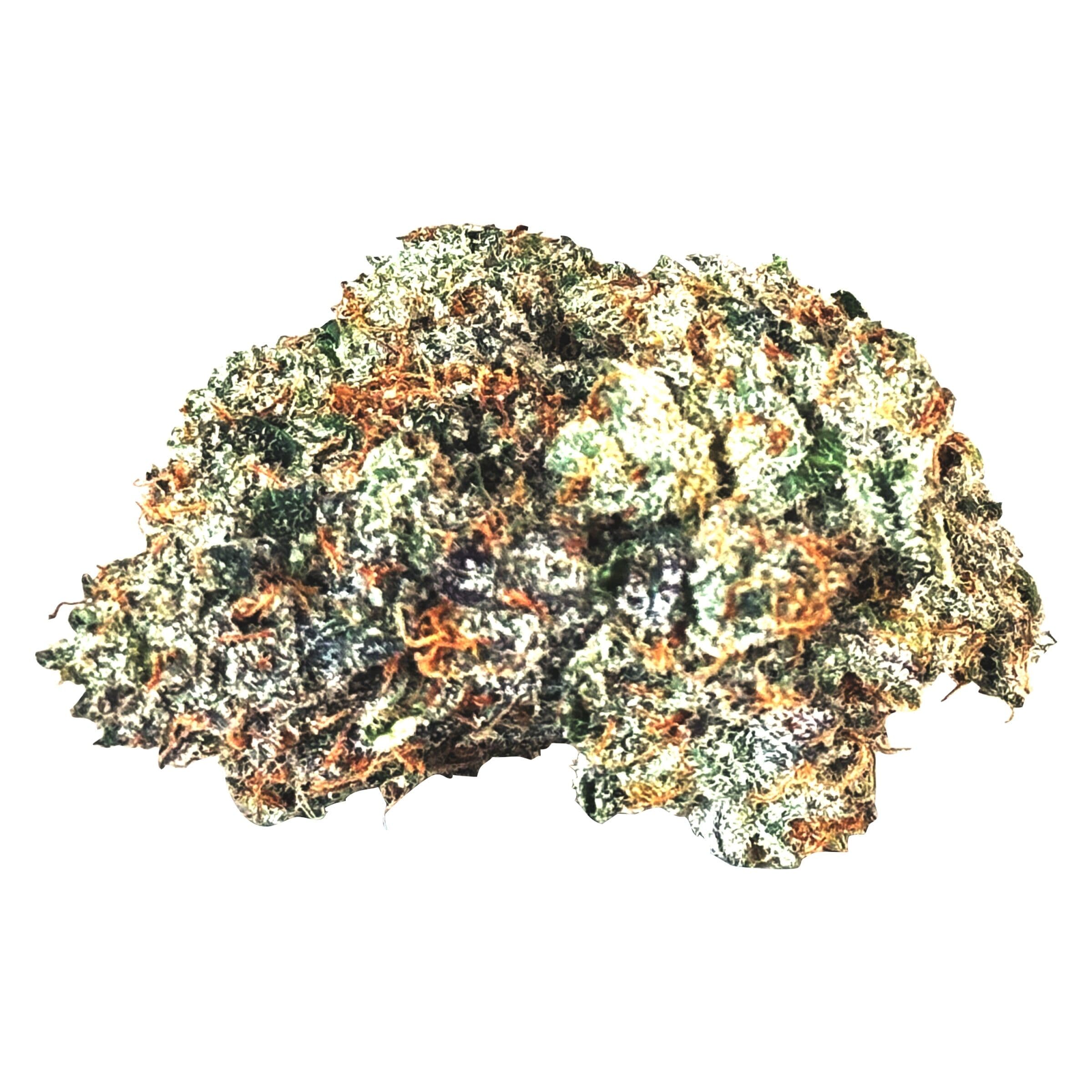MTL - Gas N- Up (Venom OG x Humbolt OG) - 3.5g