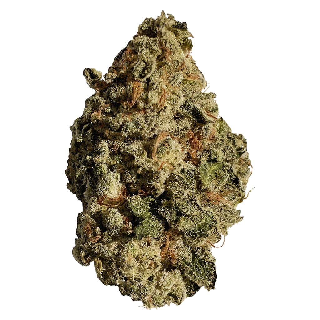 Palmetto - Blue Cheese (Blueberry x UK Cheese) - 3.5g