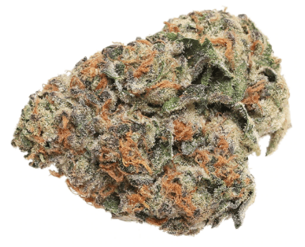 Jenn’s OG - Crazy Rntz (Rntz x Bonkers x Unknown Hybrid) - 3.5g