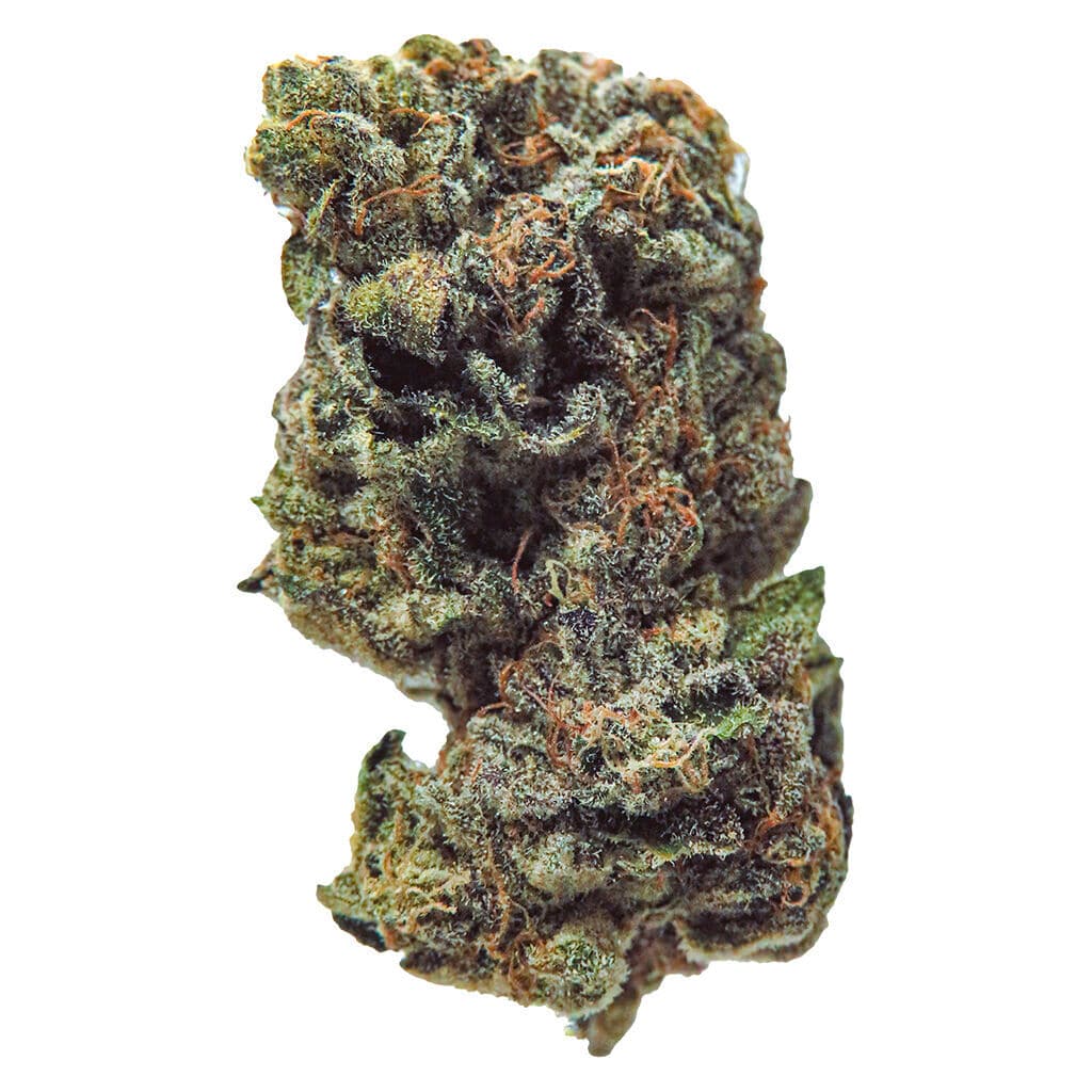 True Fire - Gasolina (Gelato x Animal Mints ) - 3.5g