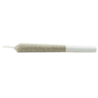 Daily Special - Nightmare Fuel Js Pre-Roll - 7x0.5g