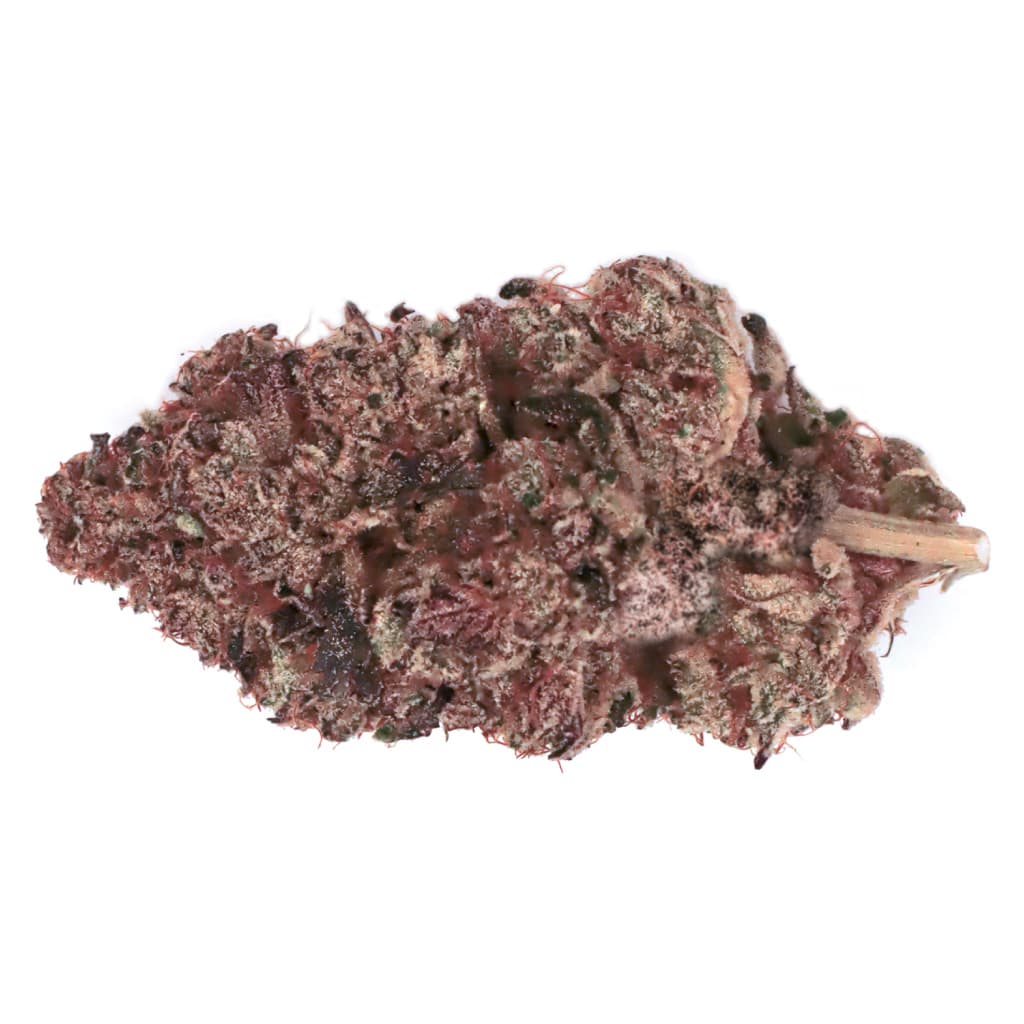 Organnicraft - Regulate(Blissful Wizard x Nom Nom) - 3.5g