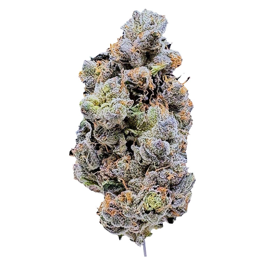 LaHoja - Platinum Blue Gellati (Platinum x Blue Power x Gelatti) - 3.5g