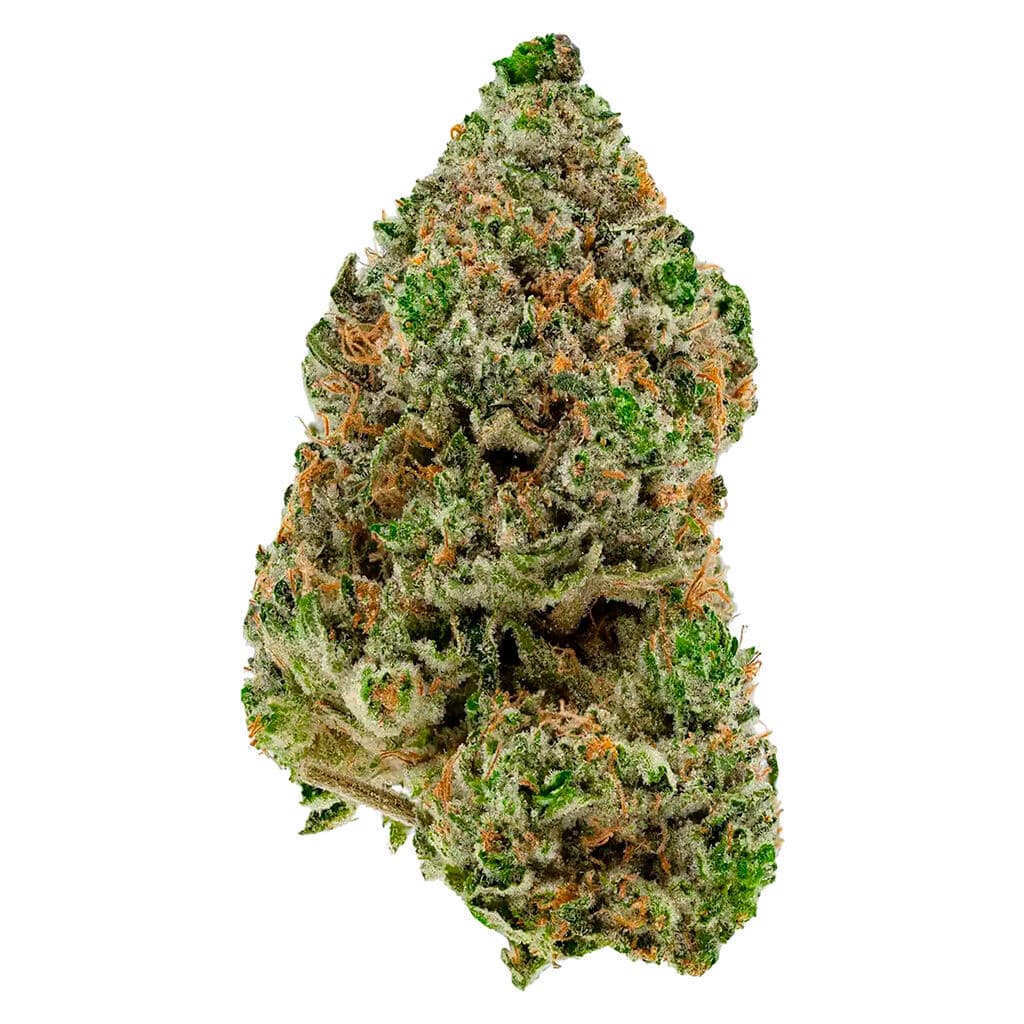 Simply Bare - BC Organic Hibachi Blue (Blucci x Papaya Dawg) - 3.5g
