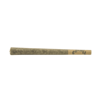 Carmel - Tiger Face Infused Pre-Roll - 1x1g