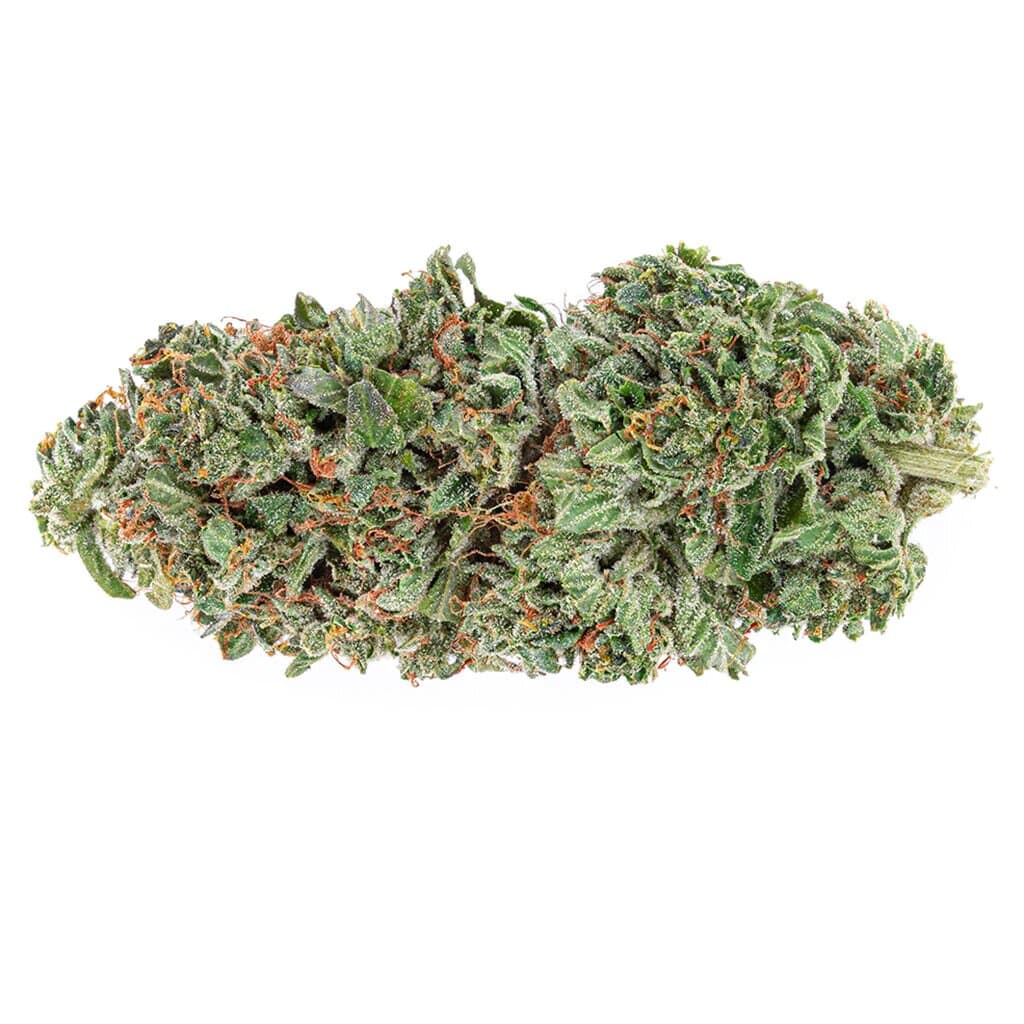 TGOD - Organic Rockstar Tuna (Rockstar x Tuna Kush)