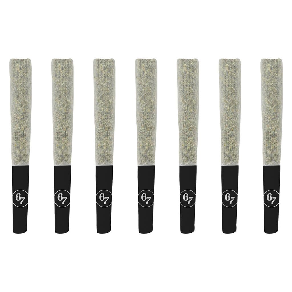 Sixty Seven Sins - Gas Face Pre-Roll - 7x0.5g