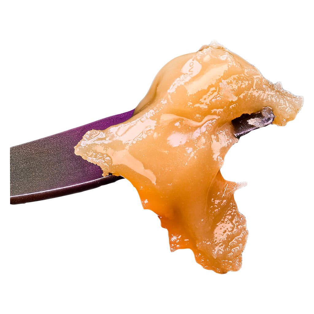 Sauce Rosin Labs - Live Rosin Seasonal Gas Pack (Black Maple #22) - 1g