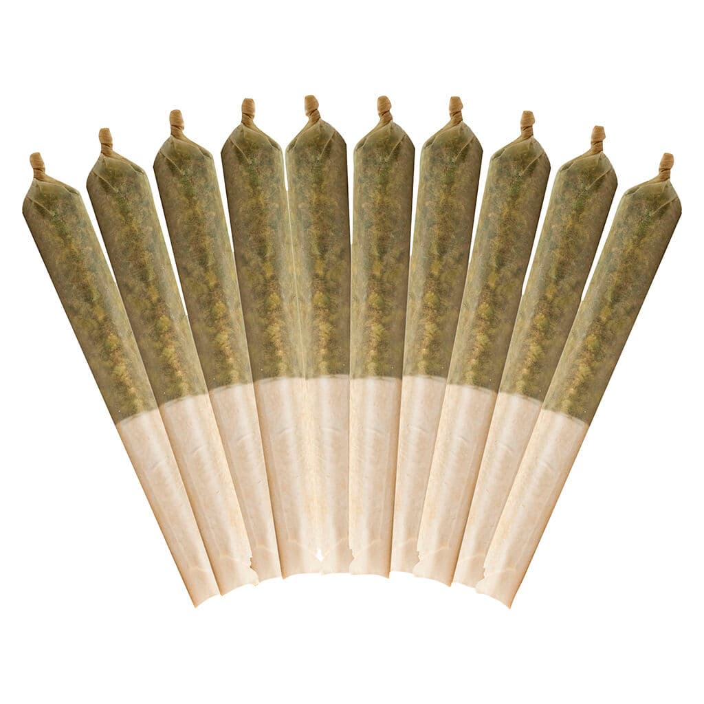 Buddy Blooms - Ethos Glue Pre-Rolls - 10x0.5g