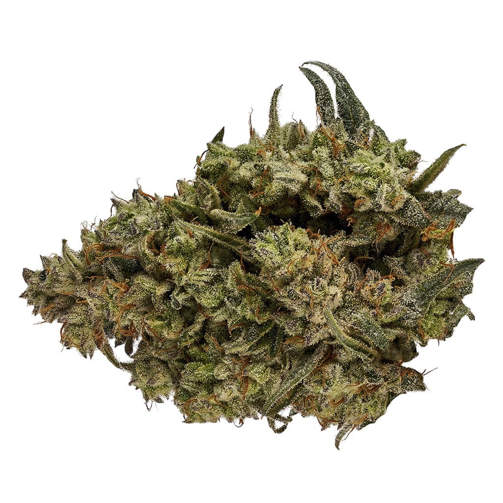 Orchid CBD - CBD Runtz(Runtz X Mystic Magic) - 3.5g
