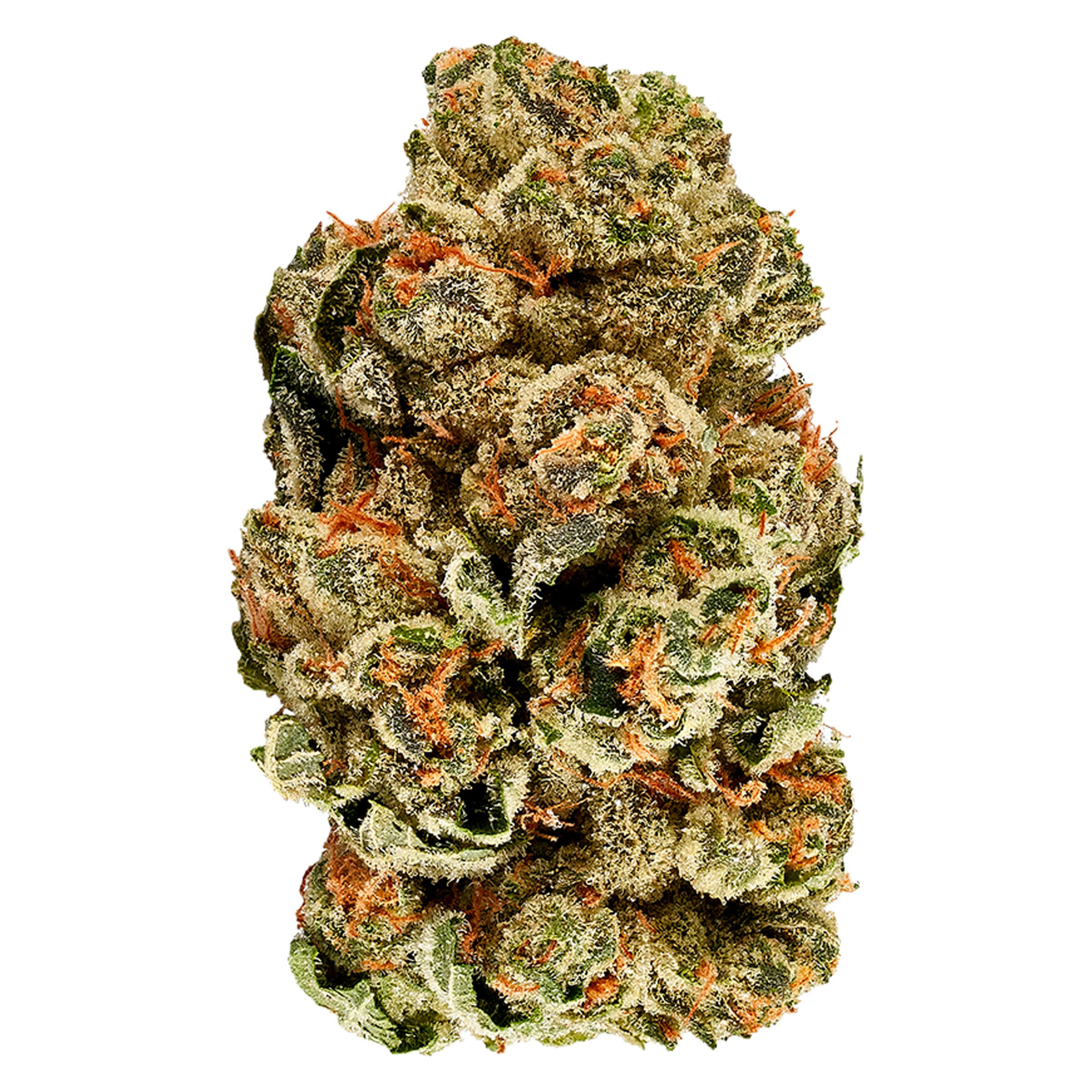 3Saints - Kush Cookies (GMO x OZ Kush) - 14g