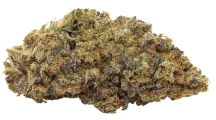 Wink - Dairy Cream (Ice Cream Cake x Kush Mints #11) - 3.5g