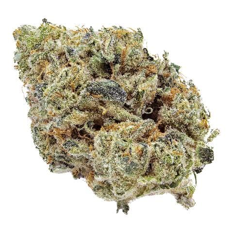 Artisan Batch - ARK Blue Iguana - 3.5g