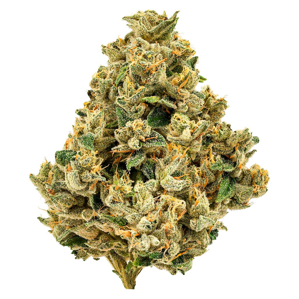 Cheers - Strawberry Grail (Strawberry Diesel x Holy Grail Kush) - 3.5g
