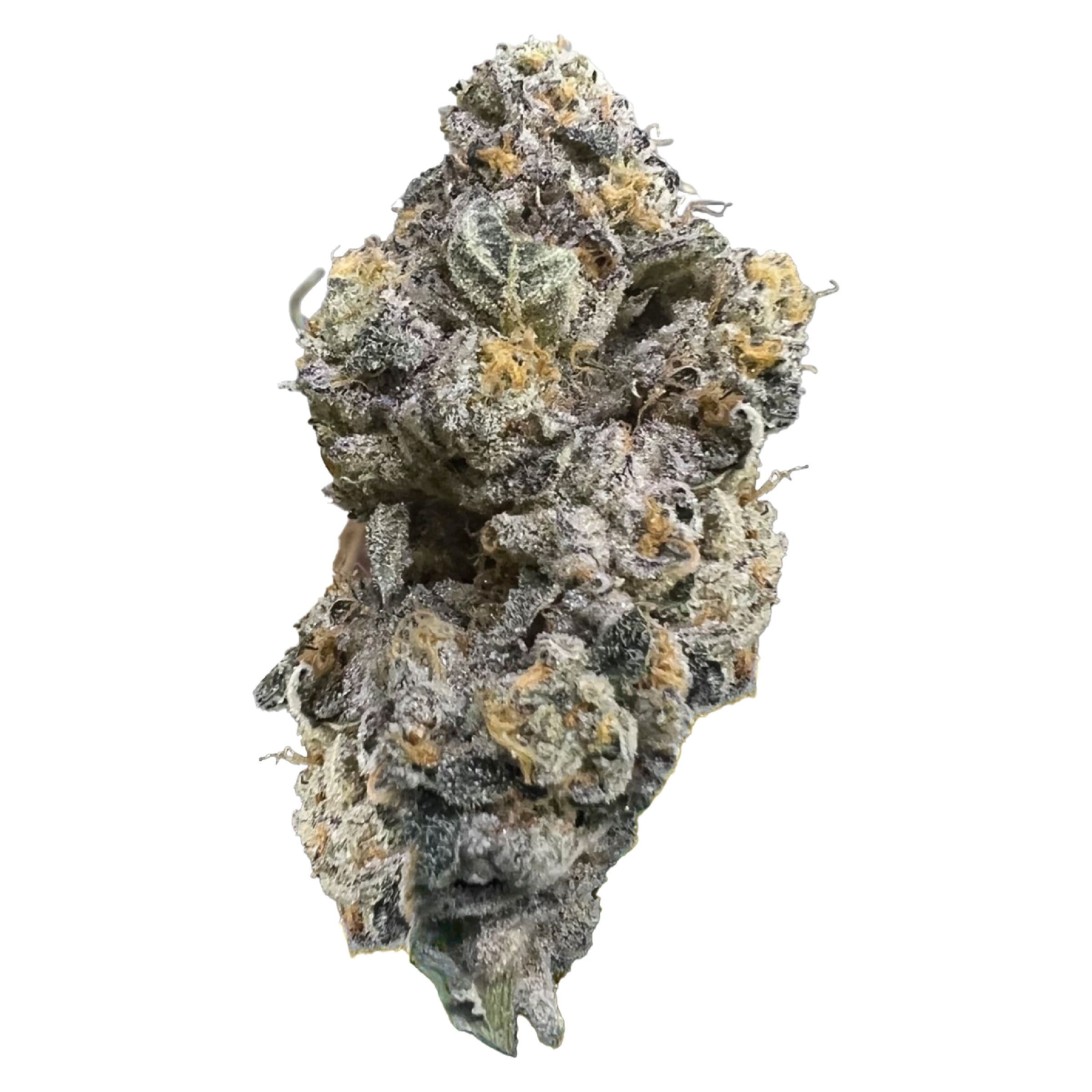 HighXotic - Royal Dive#3: Hindu Glue (Hindu Kush x Purple Afghani x GG) - 3.5g