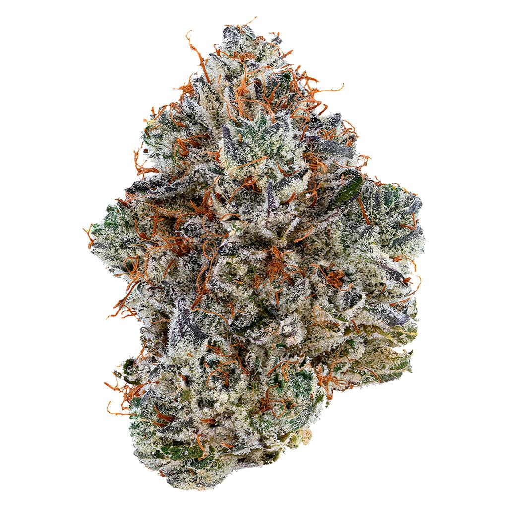Tribal - Neon Sunshine (ZKTLZ x Falcon 9) - 3.5g