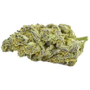 WINK - Craft Blueberry Slurr (Slurricrasher x Slurmint XI) - 3.5g