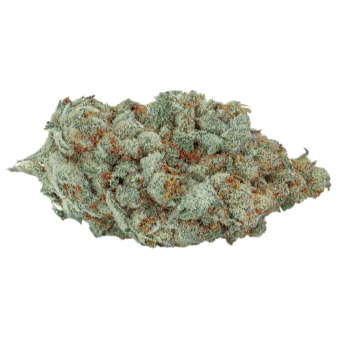 TGOD - Organic Gold Butter MAC ([Peanut Butter Breath x Quebec Gold] x MAC-1) - 3.5g