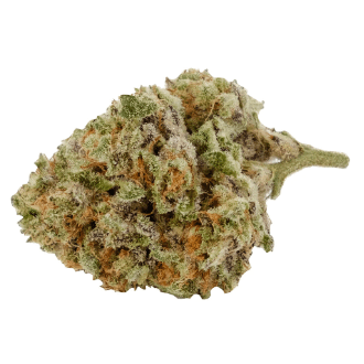 Back Forty - Pineapple Sugaree (Zktlz x Mendo Pineapple x Sugaree) - 3.5g