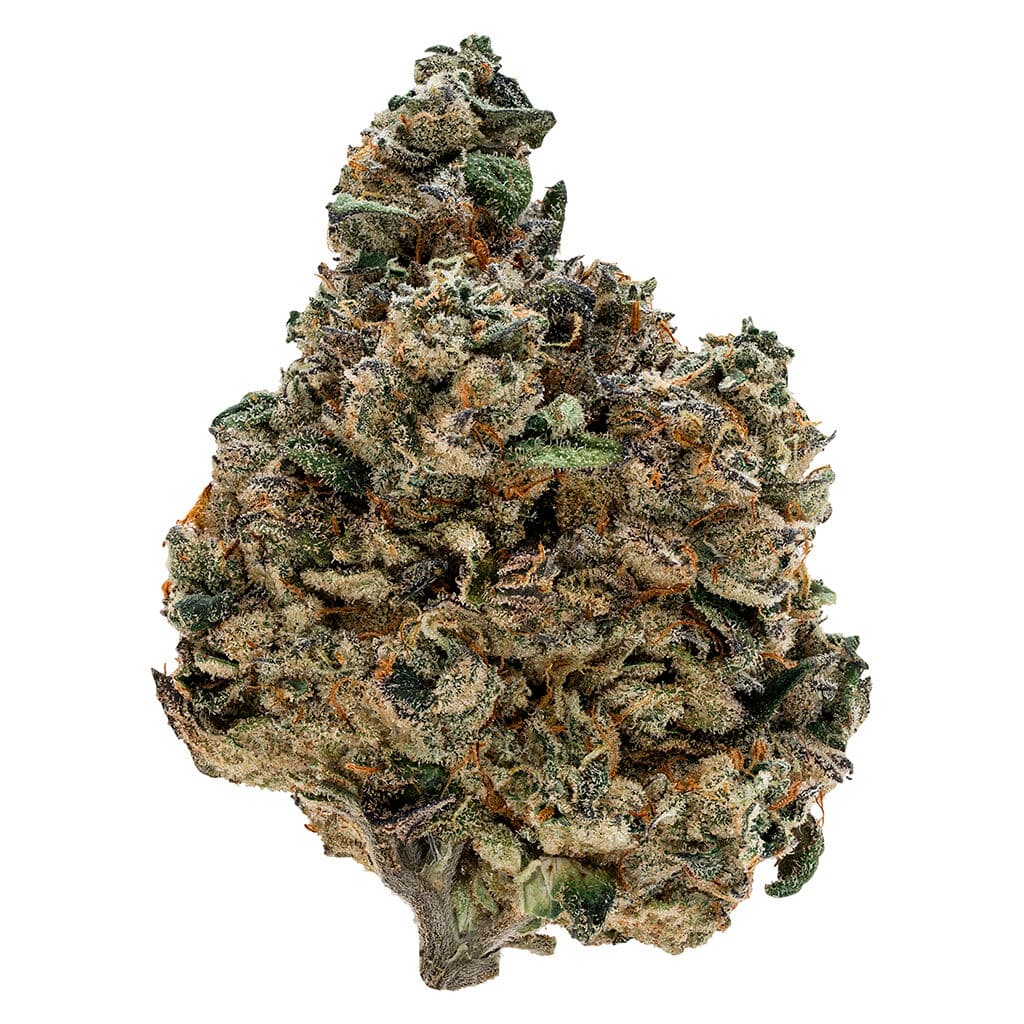 Tribal - Gran Turismo (Motorbreath x Lemon Cherry Gelato) - 3.5g