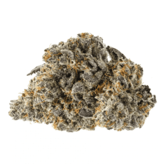 BLK MKT - Park Fire OG (OG Kush x SFV OG Kush) - 3.5g