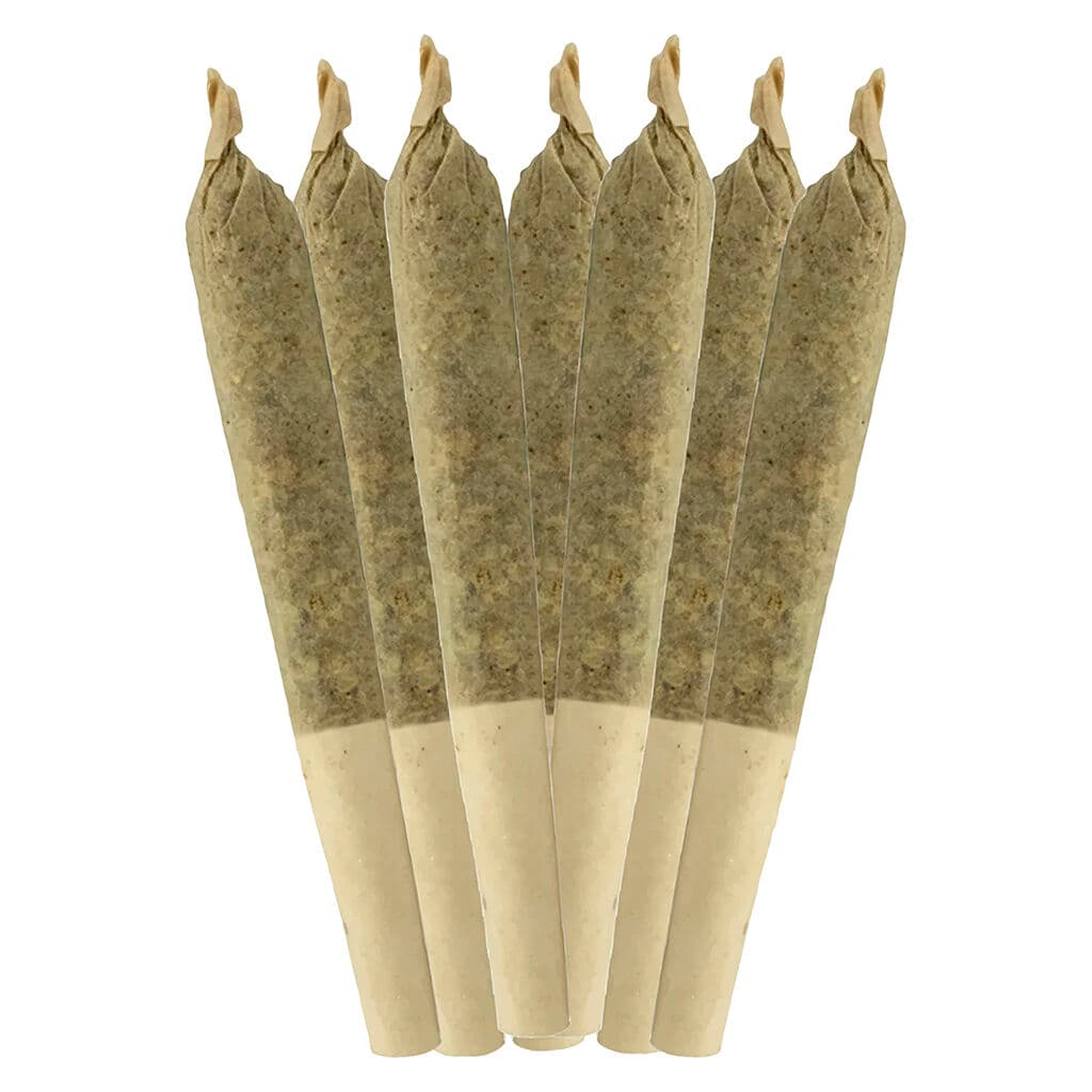 Sheeesh! - Jungle Kush Pre-Rolls - 7x0.5g
