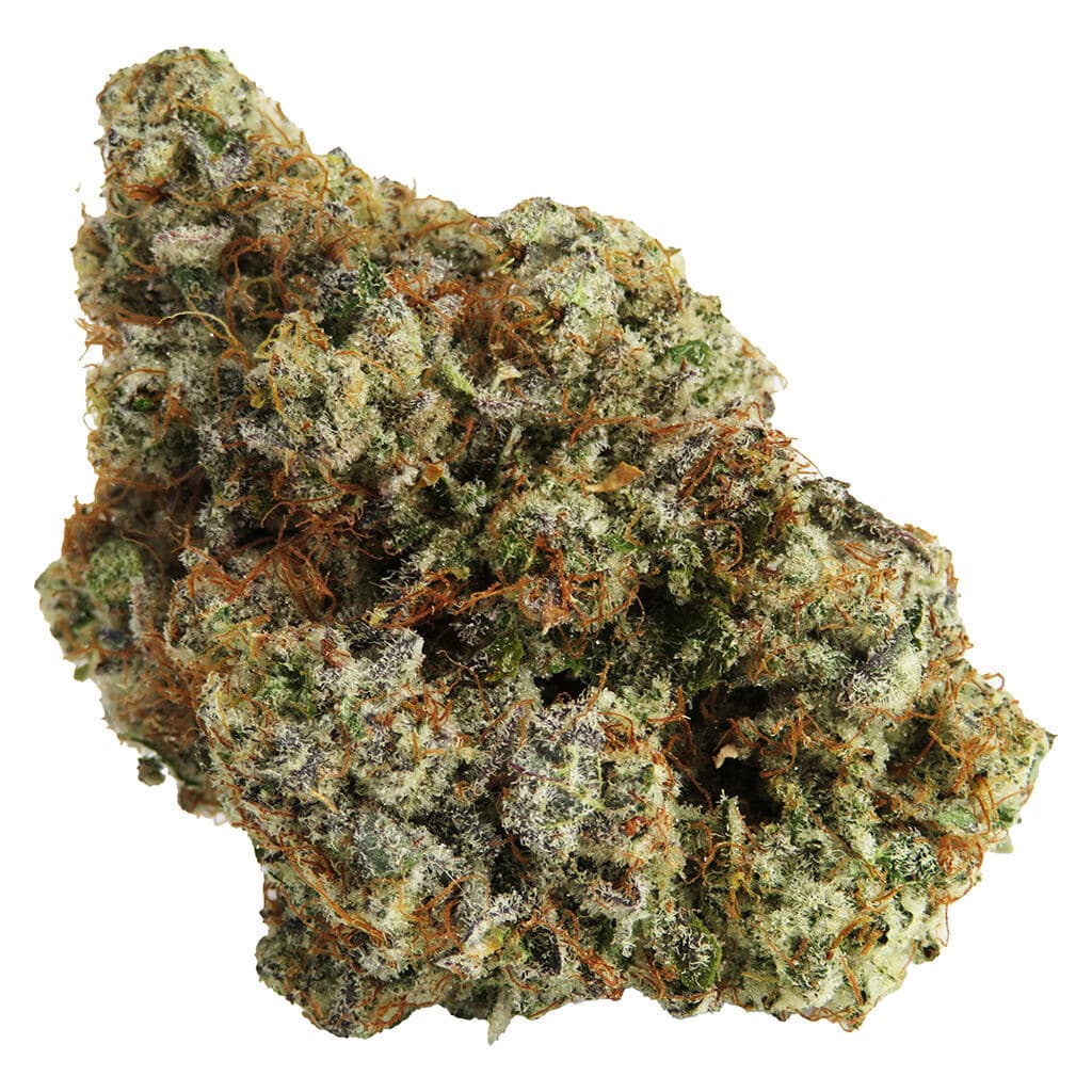 Northern Canna - Permanent Marker  - 14g