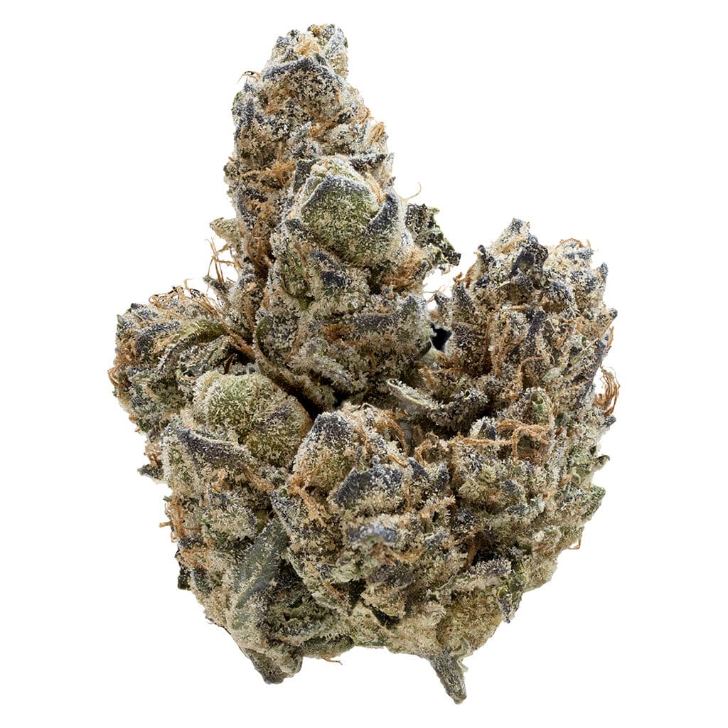 Nugz - Florida Oranges (Orange Daiquiri x Triangle Kush)- 7g