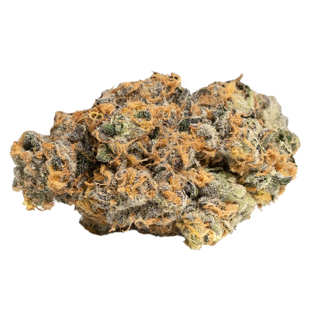 Cookies - GP20 (Gary Payton) (Y-Griega X Snowman) - 14g