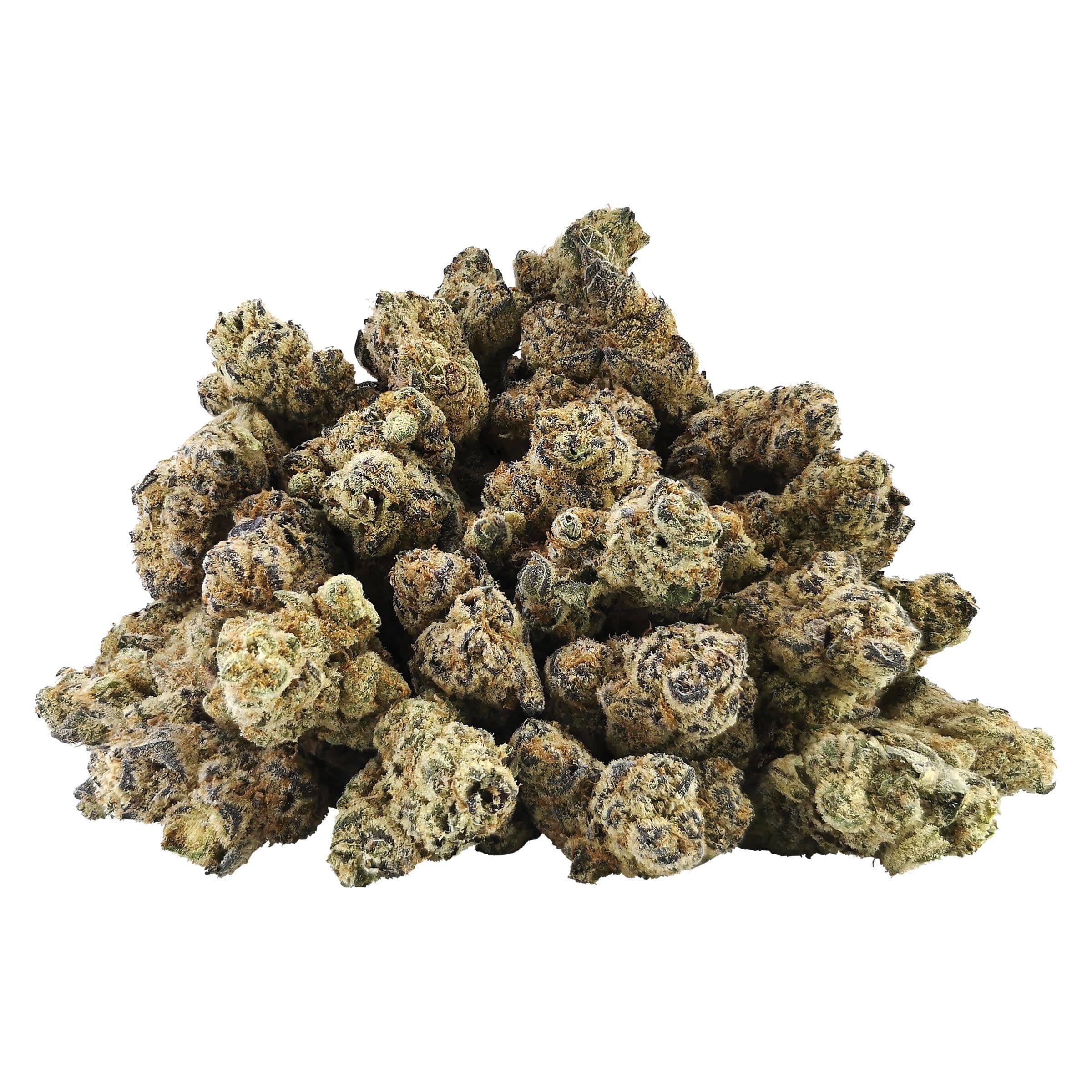 BC OZ - Lemon Poppy Seed Cake (Golden Poppy x Lemon Tree) - 28g