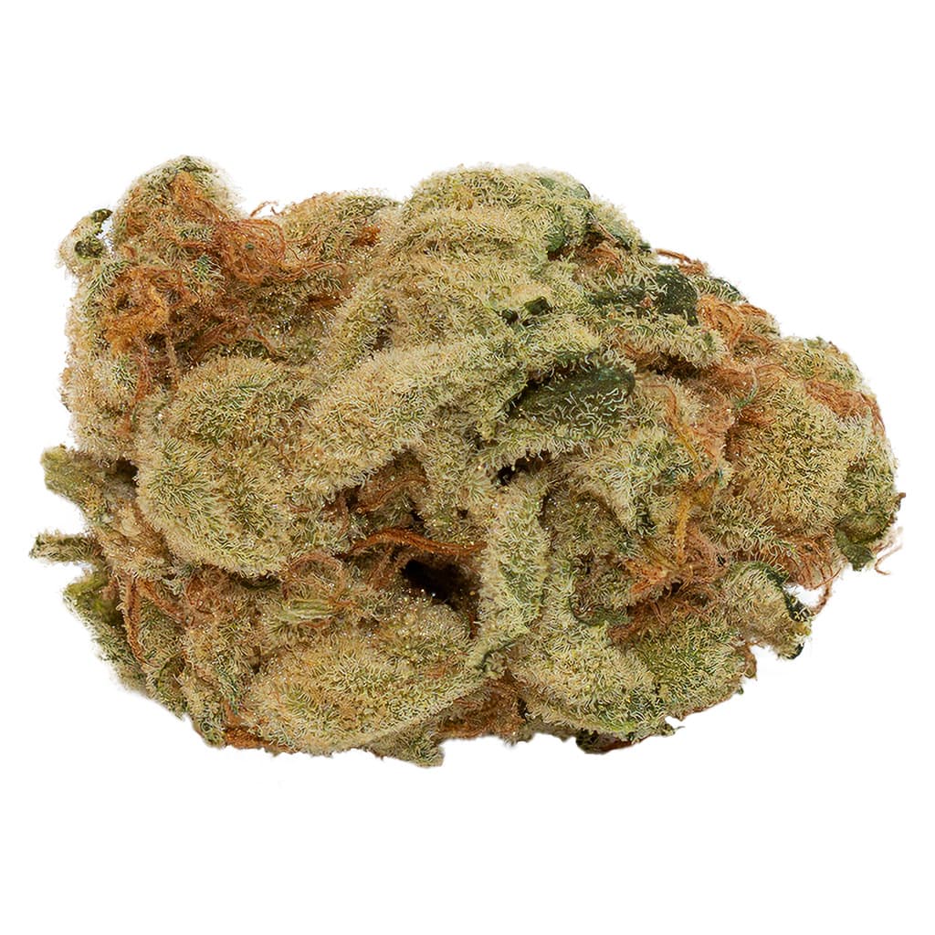 Divvy - Frosted Fruit Cake (Jungle Cake x Strawberry) - 14g