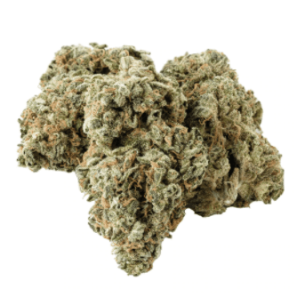 Kolab x Safari - Dark Shadow Haze (Grape Ape x Neville’s Wreck) - 3.5g