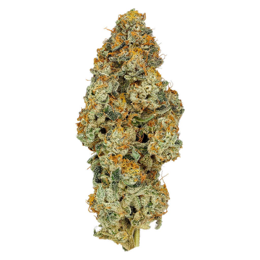 Organnicraft - Axess (Orange Pushpop x Wedding Cake) - 14g