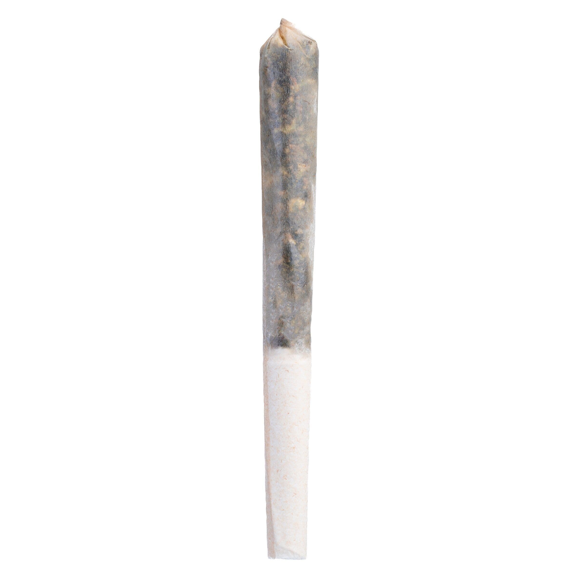 Tenzo - Frosted Pancakes Infused Pre-Roll - 1x0.5g