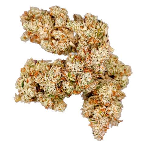 Artisan Batch - Purplefarm Genetics Sour Glue (Gorilla Glue #4 x Sour Diesel) - 3.5g