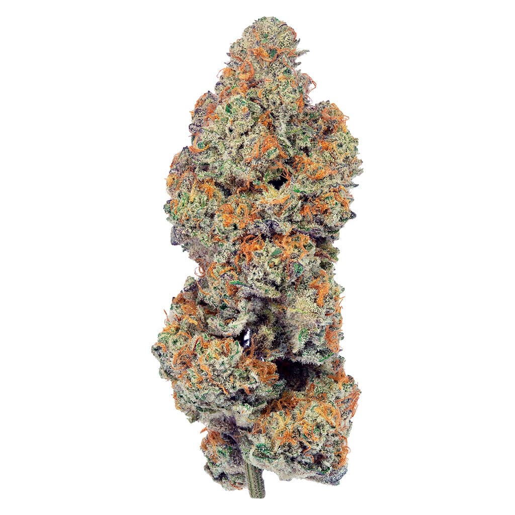 PurpleFarm - Hazes + Jacks - 7g