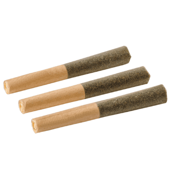 Back Forty - Blackberry Vanilla Infused Pre-Rolls - 3x0.5g