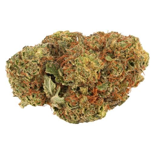 Redecan - Black Cherry Punch (Purple Punch x Black Cherry Pie) - 1g