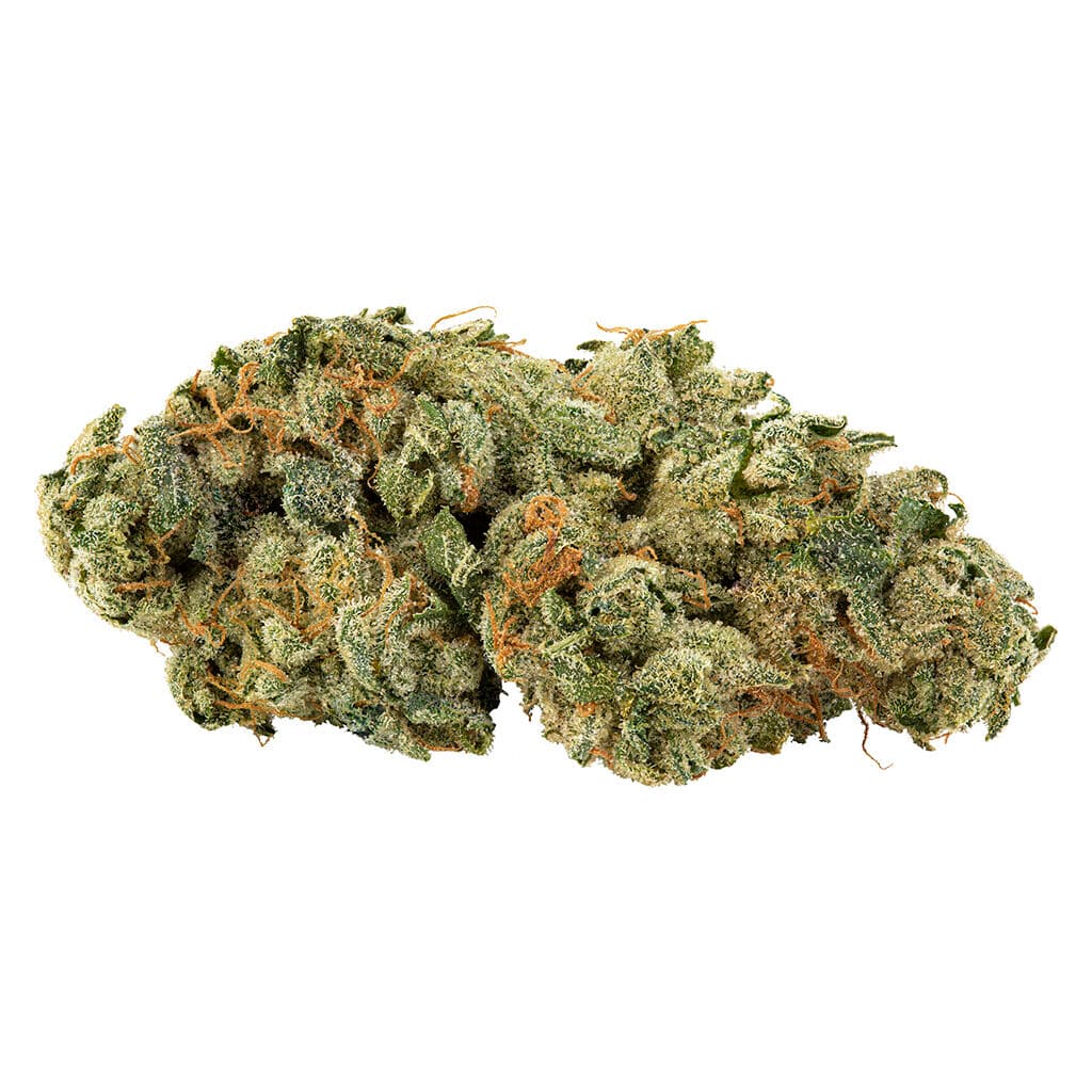 Holy Mountain - GMO Tropical Reign (GMO Crescendo x Super Tropical_ - 3.5g