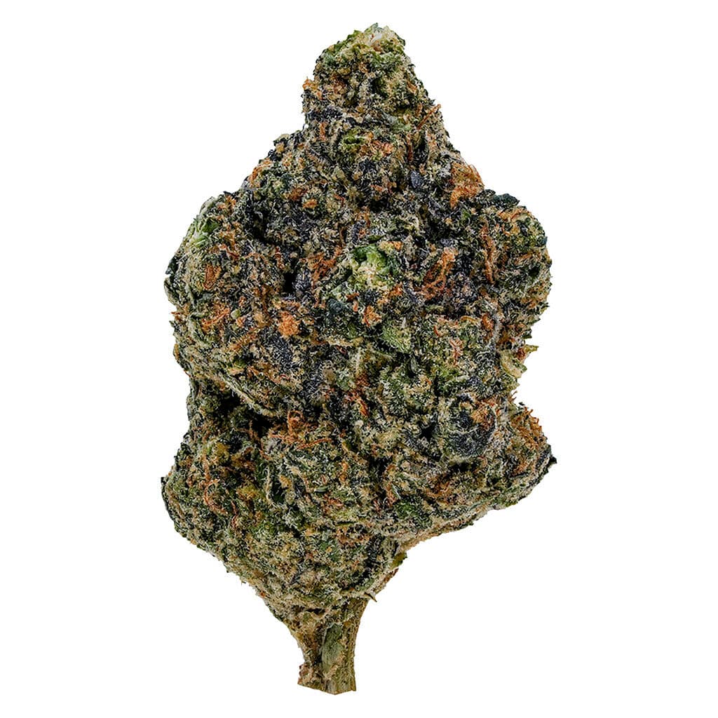 1964 - Gasolina - 7g