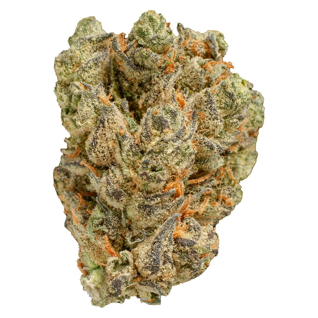 Pepe - Peach Tree (Peach Ozz x Peach Ozz) - 28g