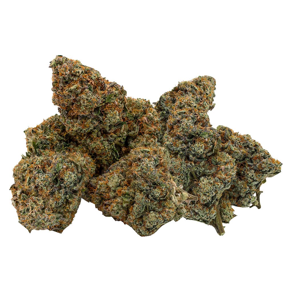 Northern Canna - East Coast Animal - 14g