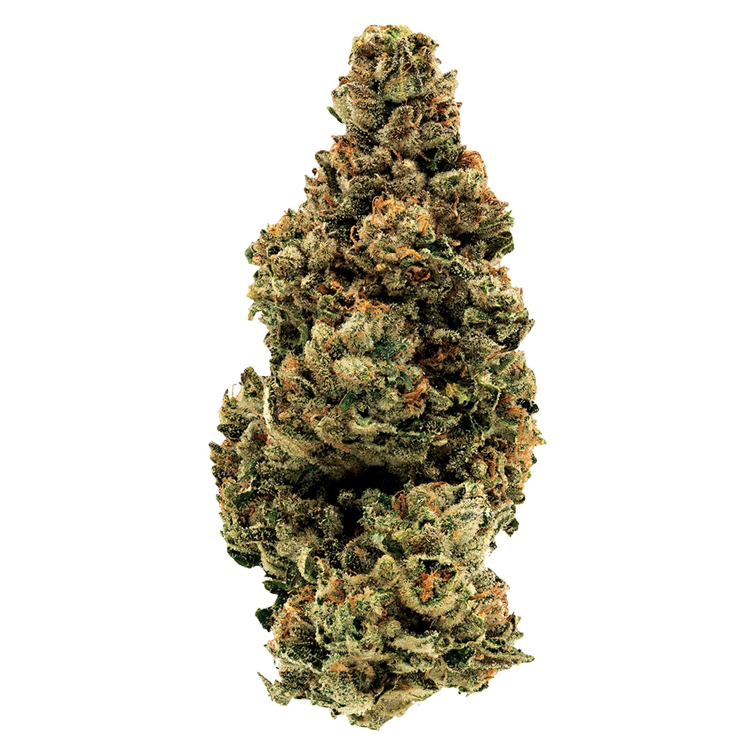 1964 - GG#4 (Chem’s Sister x Sour Dubb x Chocolate Diesel) - 3.5g